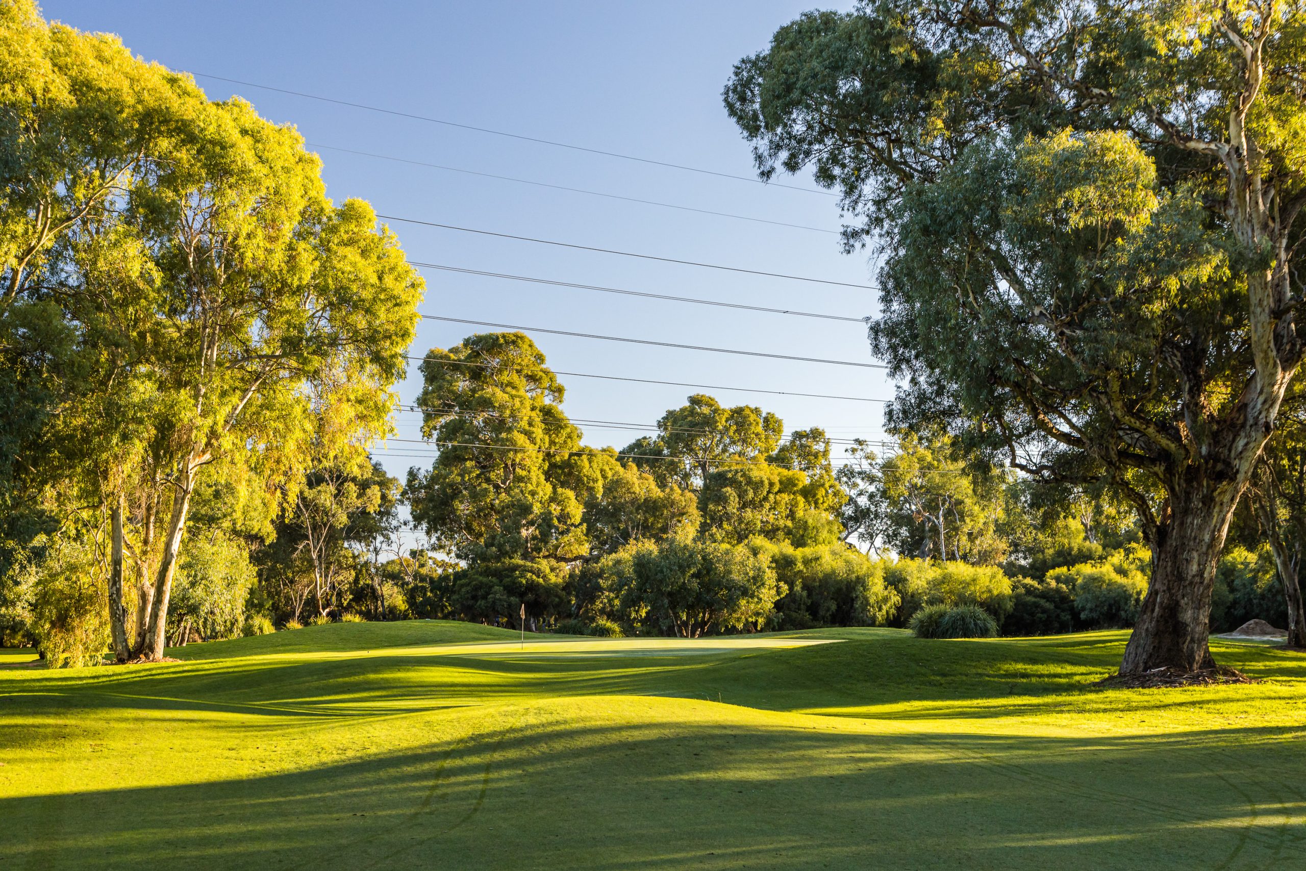 Freeway Golf Course